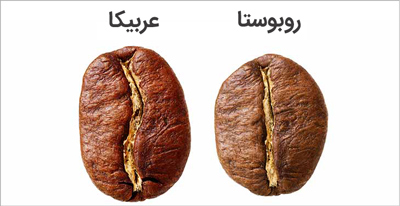 تفاوت قهوه عربیکا با روبوستا