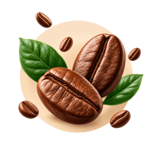 Category-box-coffee-bean
